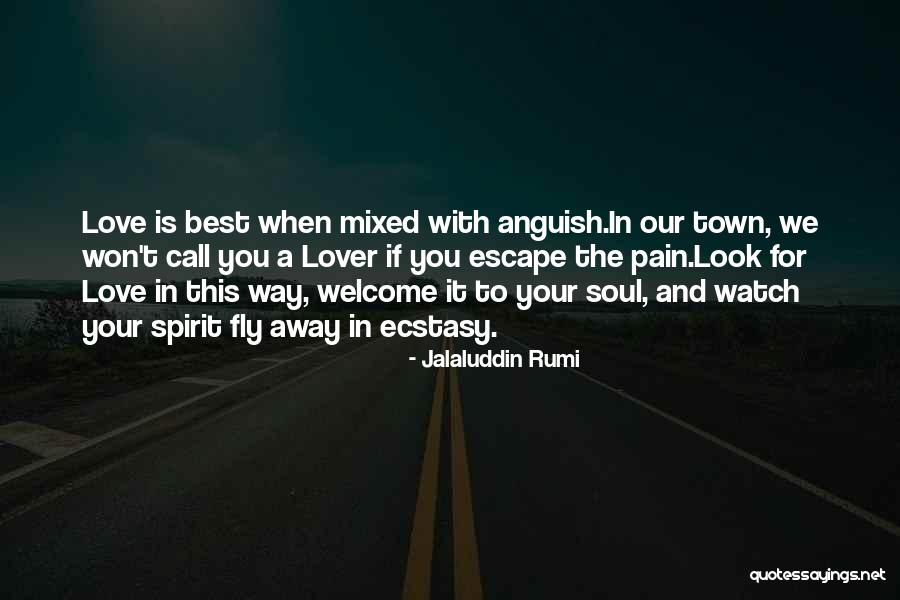 Soul Town Quotes By Jalaluddin Rumi Soul Town Quotes By Jalaluddin Rumi