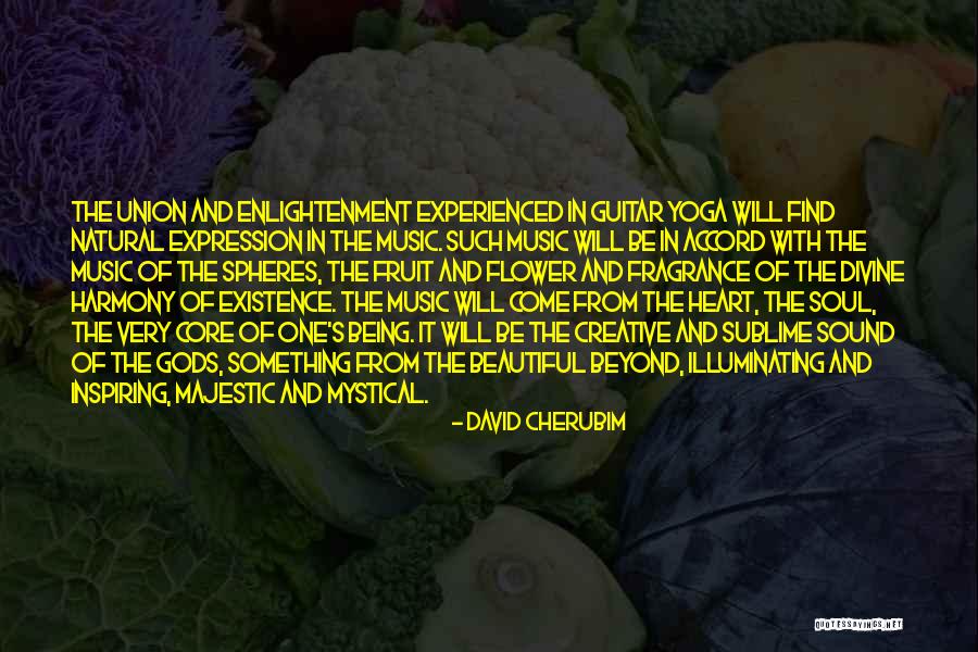 Soul Union Quotes By David Cherubim Soul Union Quotes By David Cherubim