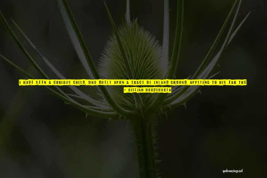 Soul Union Quotes By William Wordsworth Soul Union Quotes By William Wordsworth