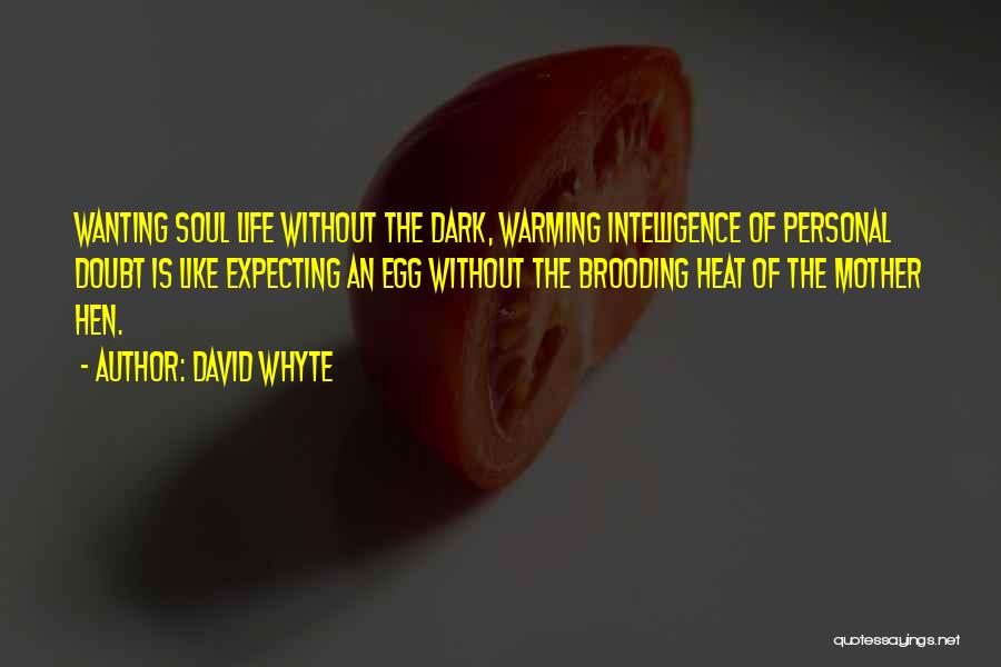 Soul Warming Quotes By David Whyte