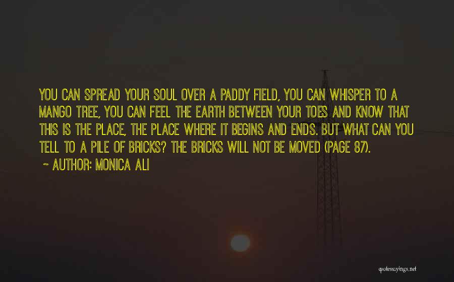 Soul Whisper Quotes By Monica Ali