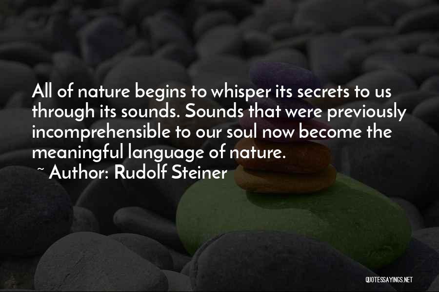 Soul Whisper Quotes By Rudolf Steiner