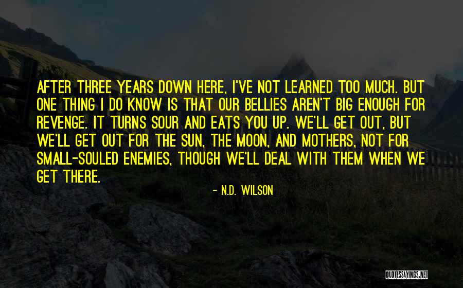 Souled Out Quotes By N.D. Wilson