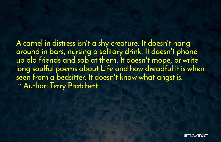 Soulful Quotes By Terry Pratchett