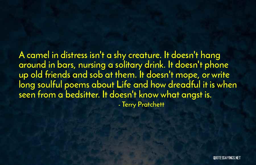 Soulful Quotes By Terry Pratchett