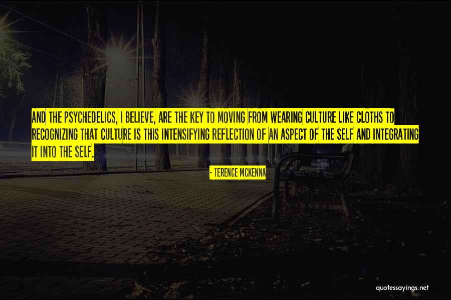 Souliers Quotes By Terence McKenna Souliers Quotes By Terence McKenna