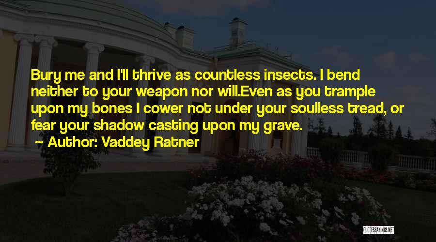 Soulless Quotes By Vaddey Ratner