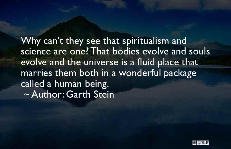 Souls And Bodies Quotes By Garth Stein