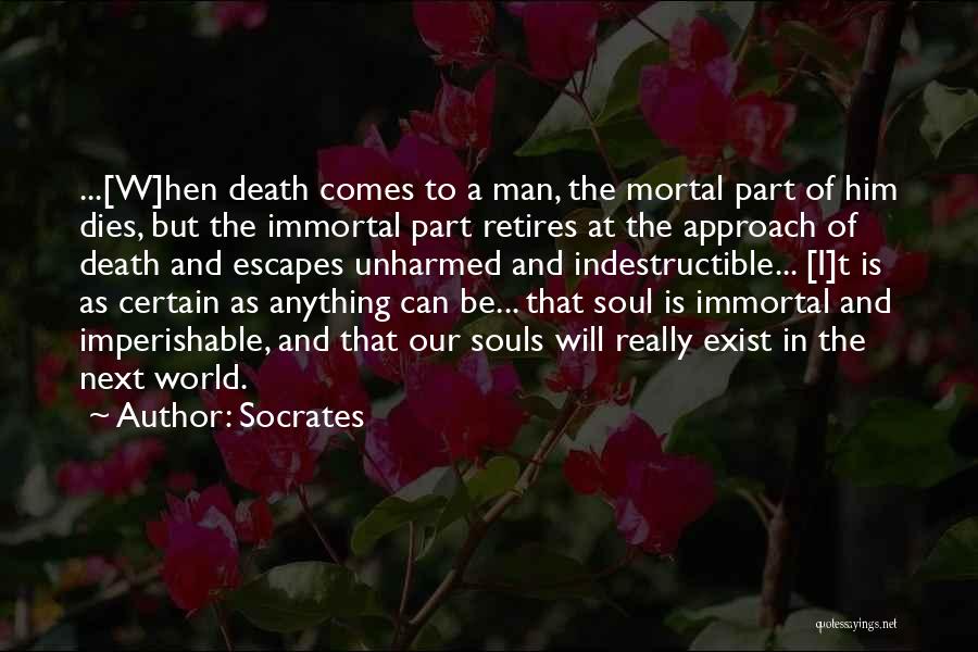 Souls And Death Quotes By Socrates