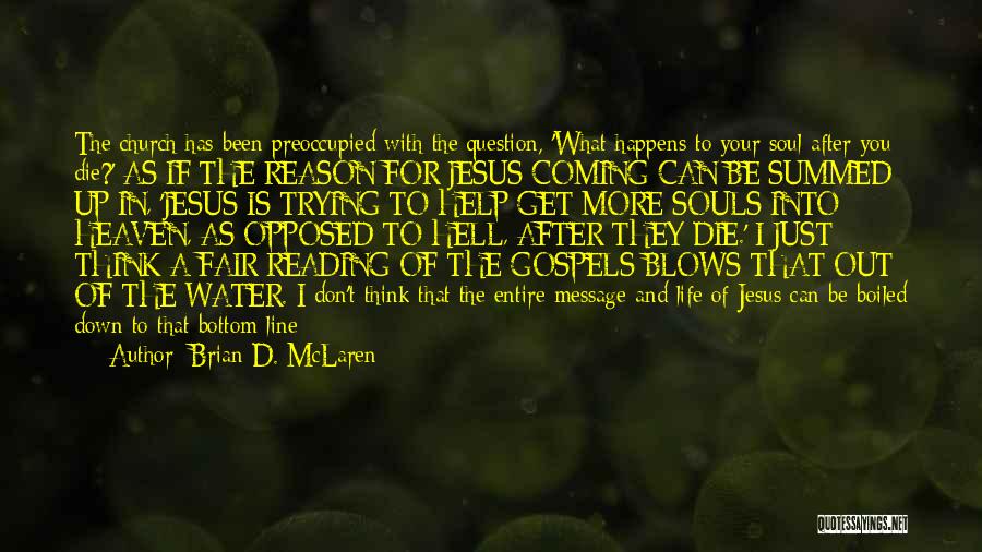 Souls And Life Quotes By Brian D. McLaren