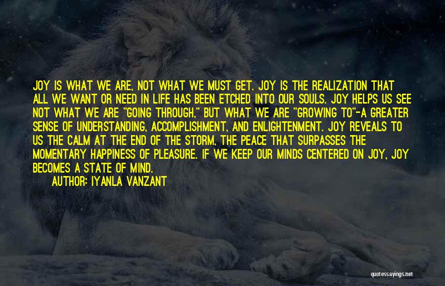 Souls And Life Quotes By Iyanla Vanzant