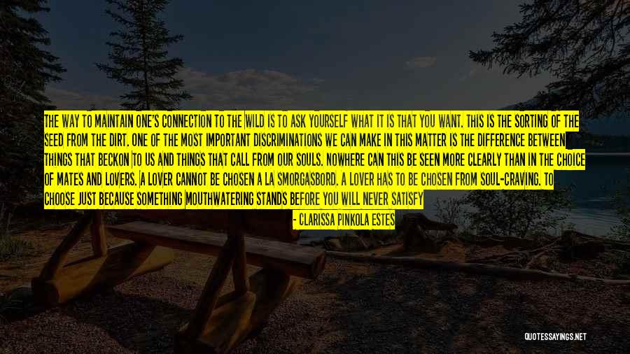 Souls Connection Quotes By Clarissa Pinkola Estes Souls Connection Quotes By Clarissa Pinkola Estes