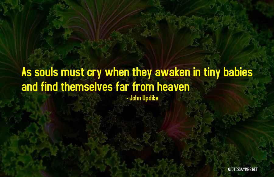 Souls In Heaven Quotes By John Updike Souls In Heaven Quotes By John Updike