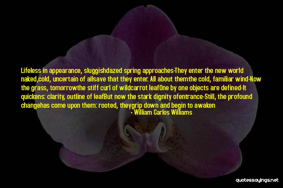 Soulstice Mind Quotes By William Carlos Williams Soulstice Mind Quotes By William Carlos Williams