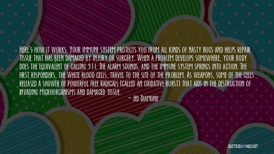 Soultana Mpoulkoura Quotes By Jed Diamond Soultana Mpoulkoura Quotes By Jed Diamond
