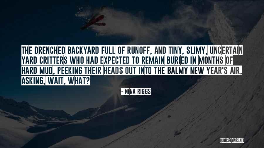 Soumil Voma Quotes By Nina Riggs Soumil Voma Quotes By Nina Riggs