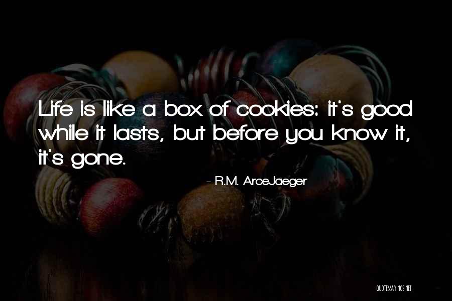 Soumil Voma Quotes By R.M. ArceJaeger Soumil Voma Quotes By R.M. ArceJaeger