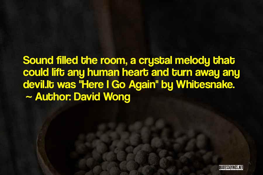 Sound And Music Quotes By David Wong