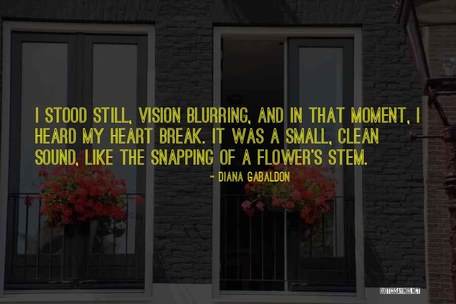 Sound And Vision Quotes By Diana Gabaldon Sound And Vision Quotes By Diana Gabaldon