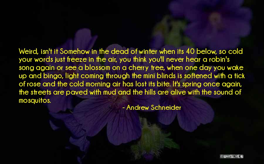 Sound Bite Quotes By Andrew Schneider Sound Bite Quotes By Andrew Schneider
