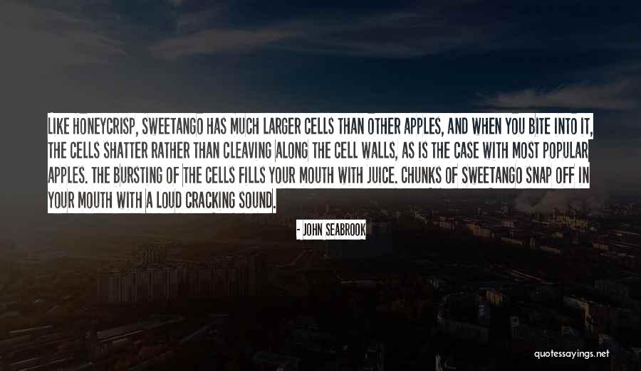 Sound Bite Quotes By John Seabrook Sound Bite Quotes By John Seabrook