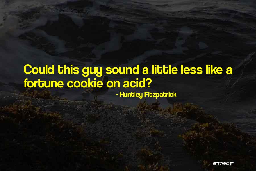 Sound Guy Quotes By Huntley Fitzpatrick