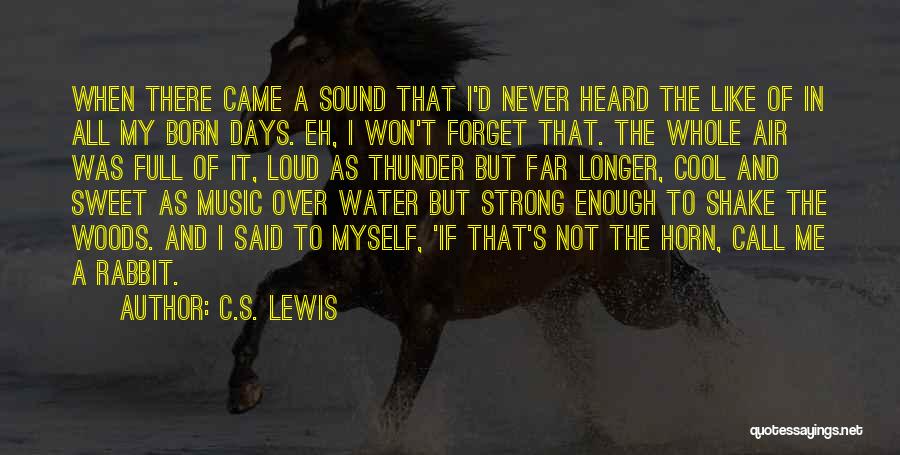 Sound Of Thunder Quotes By C.S. Lewis