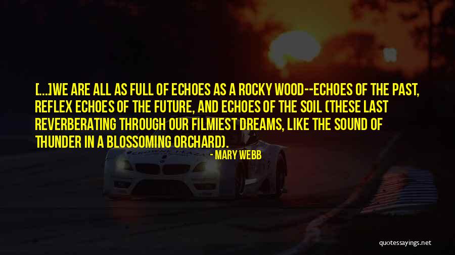 Sound Of Thunder Quotes By Mary Webb Sound Of Thunder Quotes By Mary Webb