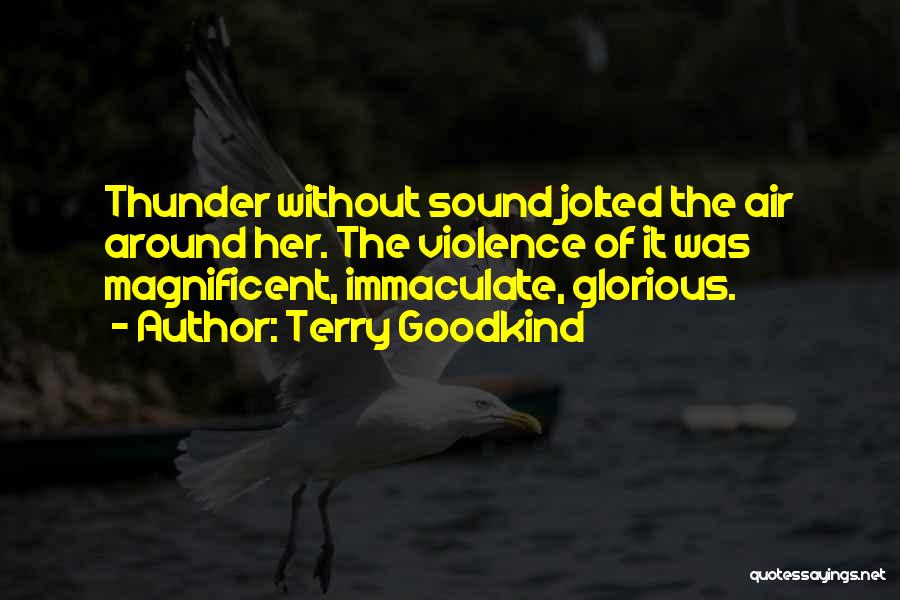 Sound Of Thunder Quotes By Terry Goodkind