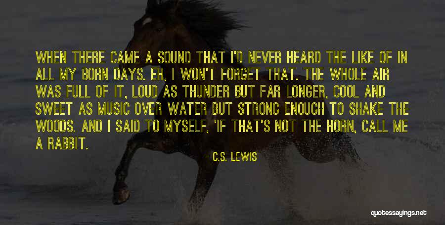 Sound Of Water Quotes By C.S. Lewis Sound Of Water Quotes By C.S. Lewis