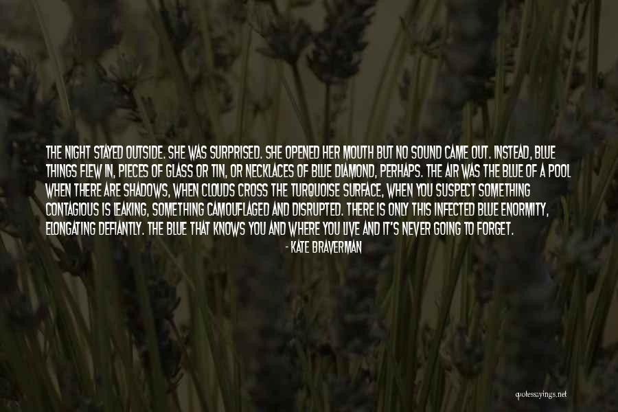 Sound Of Water Quotes By Kate Braverman Sound Of Water Quotes By Kate Braverman