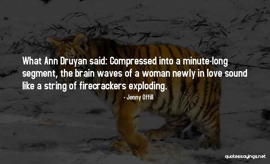 Sound Of Waves Love Quotes By Jenny Offill