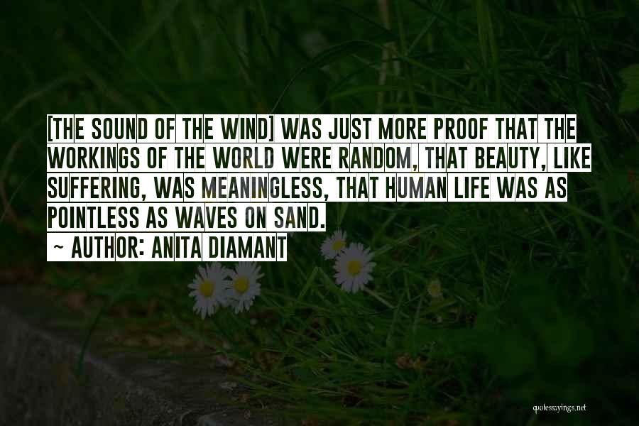 Sound Of Waves Quotes By Anita Diamant