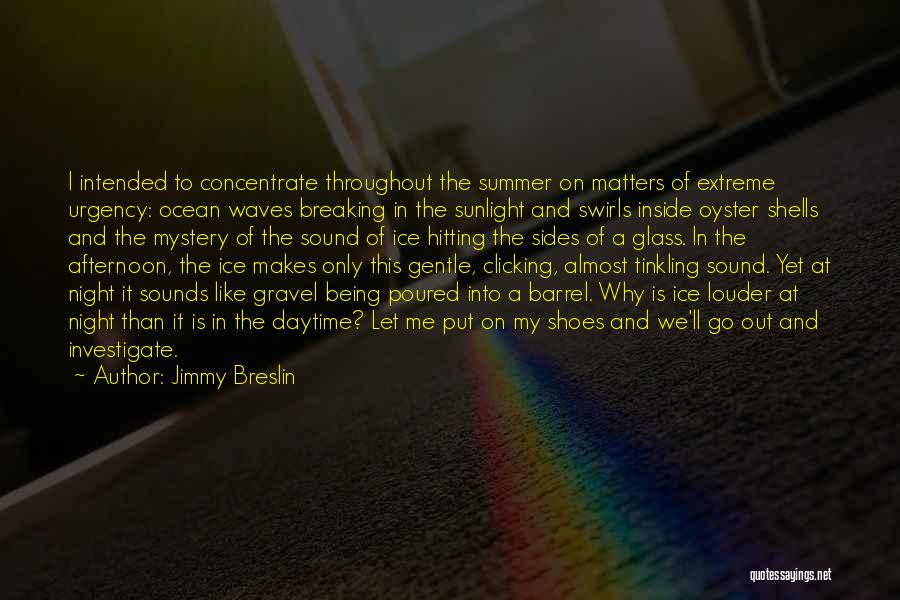 Sound Of Waves Quotes By Jimmy Breslin