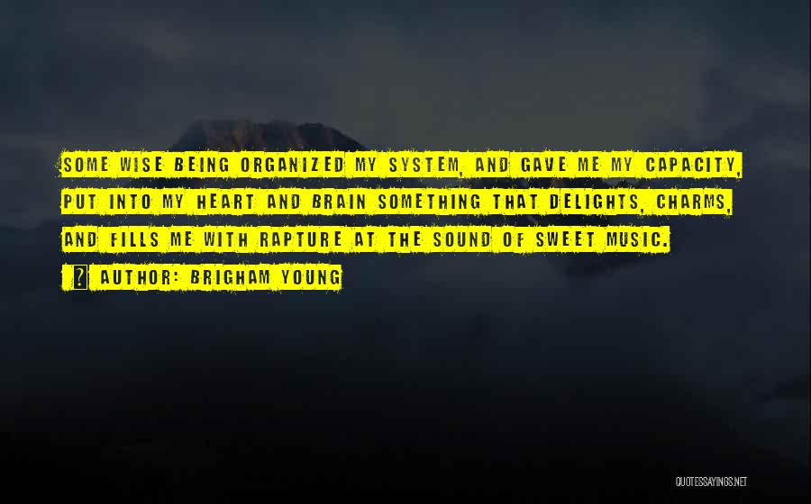 Sound System Quotes By Brigham Young