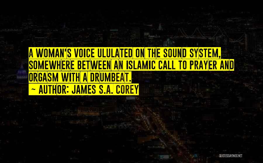 Sound System Quotes By James S.A. Corey