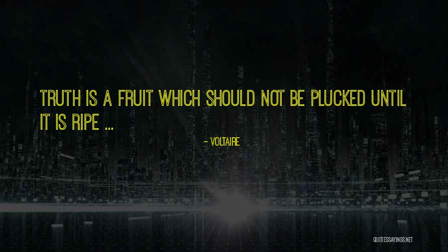 Sounding Rods Quotes By Voltaire Sounding Rods Quotes By Voltaire