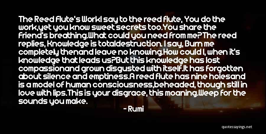Sounds Of Silence Quotes By Rumi Sounds Of Silence Quotes By Rumi