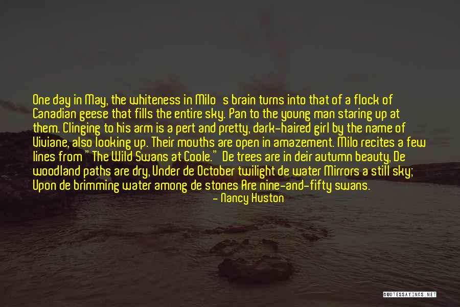 Sounds Of Stones Quotes By Nancy Huston Sounds Of Stones Quotes By Nancy Huston