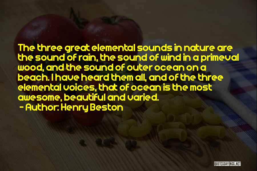 Sounds Of The Ocean Quotes By Henry Beston