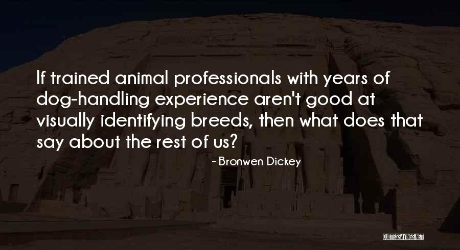Soundtracky Quotes By Bronwen Dickey Soundtracky Quotes By Bronwen Dickey