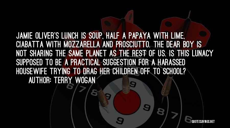 Soup Quotes By Terry Wogan