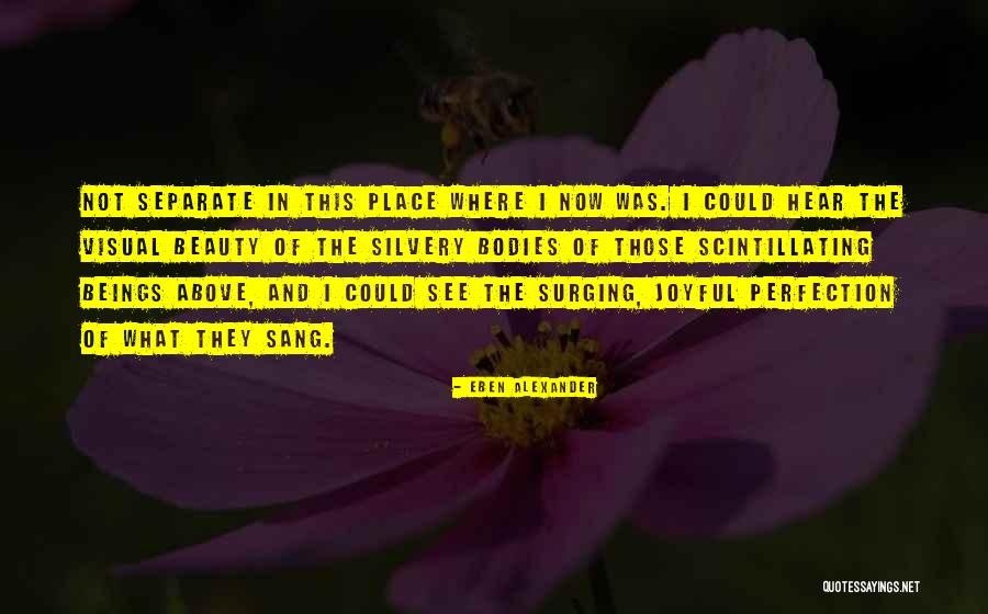 Soupirant Synonyme Quotes By Eben Alexander Soupirant Synonyme Quotes By Eben Alexander