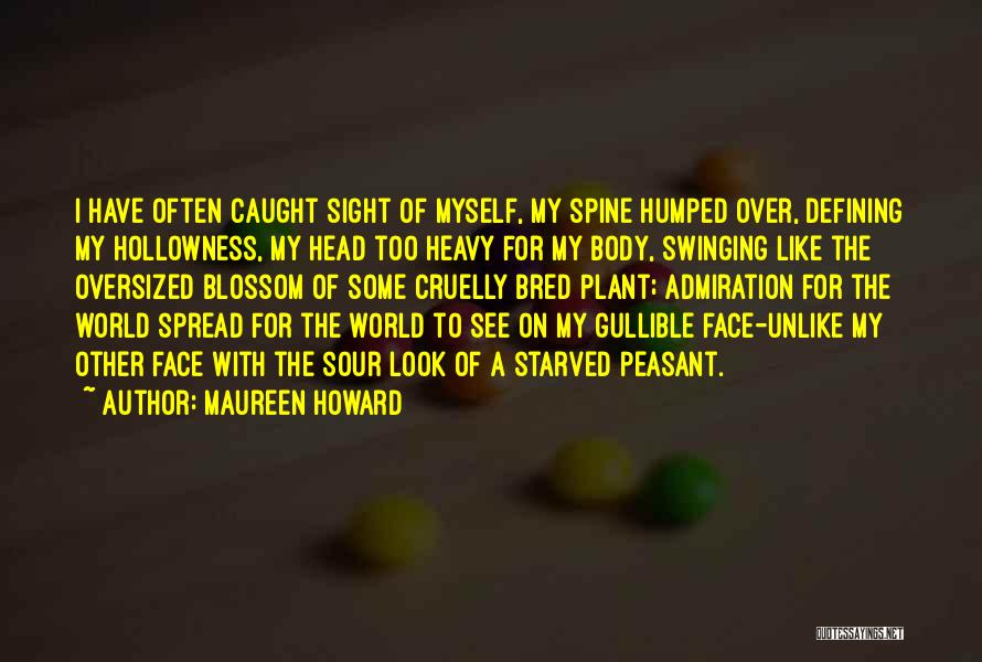 Sour Face Quotes By Maureen Howard