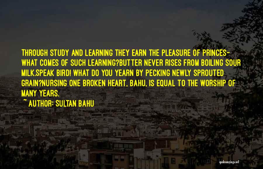 Sour Milk Quotes By Sultan Bahu