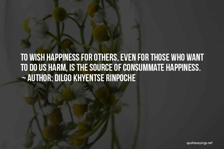 Source Of Happiness Quotes By Dilgo Khyentse Rinpoche