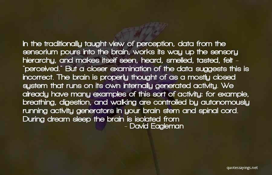Source System Quotes By David Eagleman Source System Quotes By David Eagleman