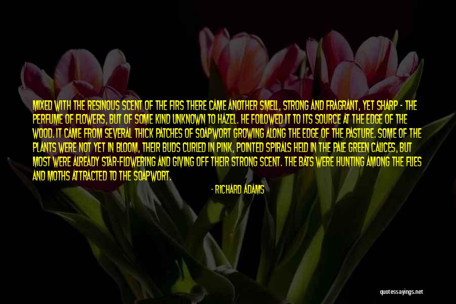 Source Unknown Quotes By Richard Adams Source Unknown Quotes By Richard Adams