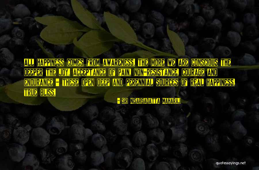 Sources Of Happiness Quotes By Sri Nisargadatta Maharaj Sources Of Happiness Quotes By Sri Nisargadatta Maharaj