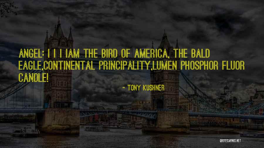 Soutenu Quotes By Tony Kushner Soutenu Quotes By Tony Kushner